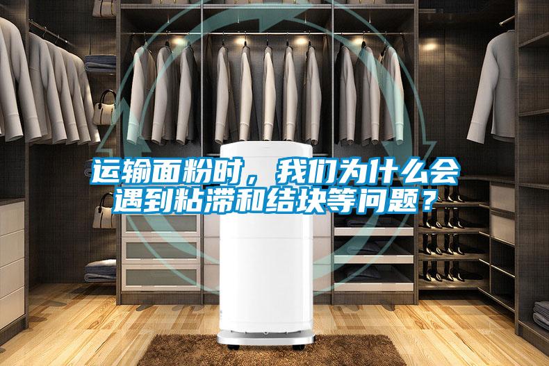 欧美黄色性爱视频网站 运输面粉时，我们为什么会遇到粘滞和结块等问题？