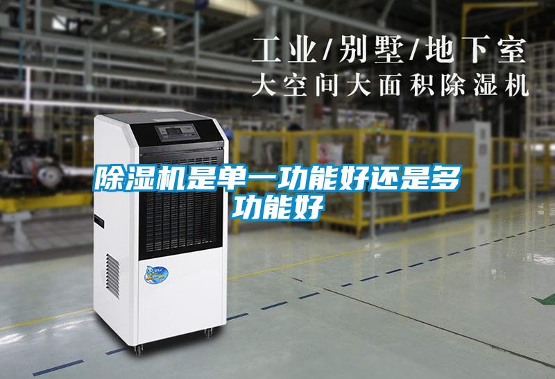 欧美黄色性爱视频网站 除湿机是单一功能好还是多功能好