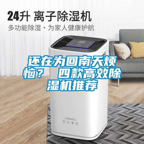 欧美黄色电影在线播放 还在为回南天烦恼？ 四款高效除湿机推荐