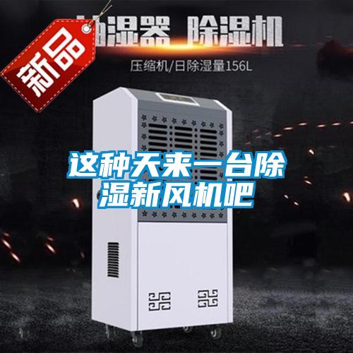 欧美成色手机在线观看 这种天来一台除湿新风机吧
