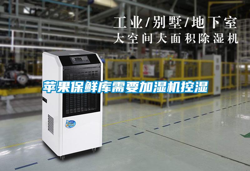 欧美黄色电影在线播放 苹果保鲜库需要加湿机控湿