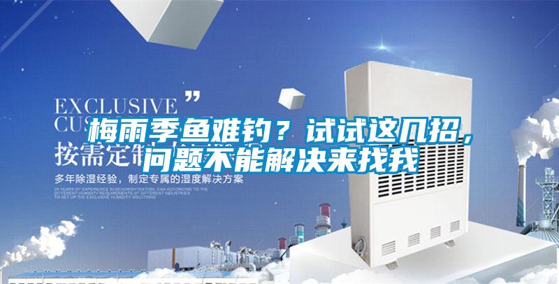 欧美成色手机在线观看 梅雨季鱼难钓？试试这几招，问题不能解决来找我