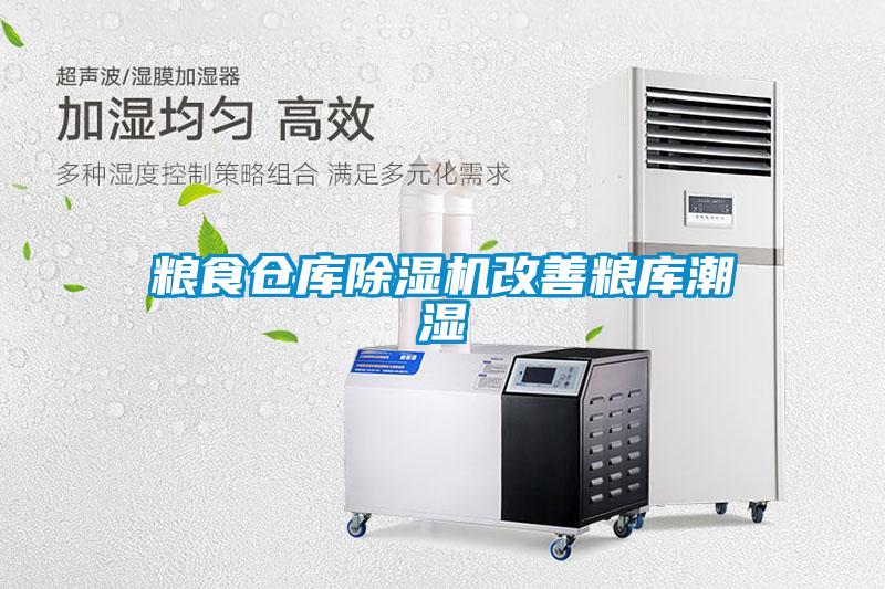 欧美黄色电影在线播放 粮食仓库除湿机改善粮库潮湿