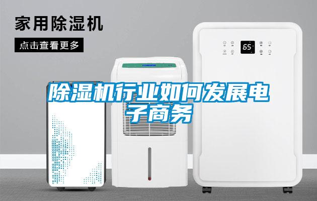 欧美黄色性爱视频网站 除湿机行业如何发展电子商务