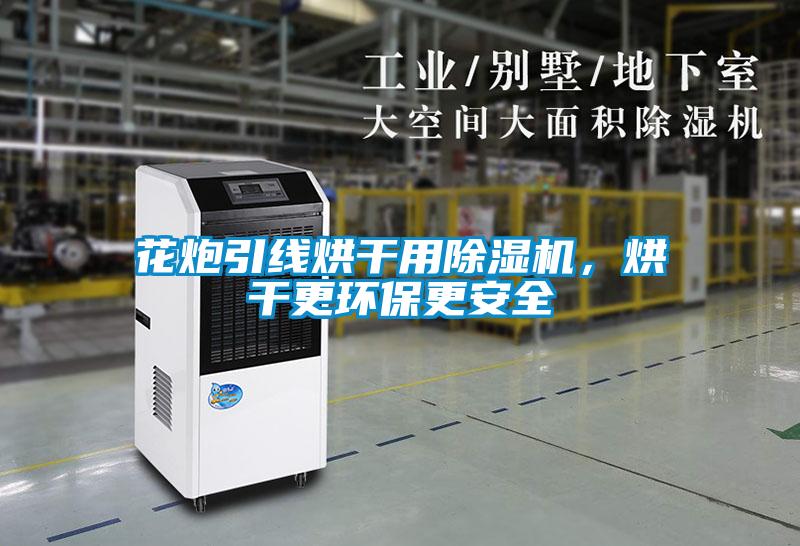 欧美黄色电影在线播放 花炮引线烘干用除湿机，烘干更环保更安全
