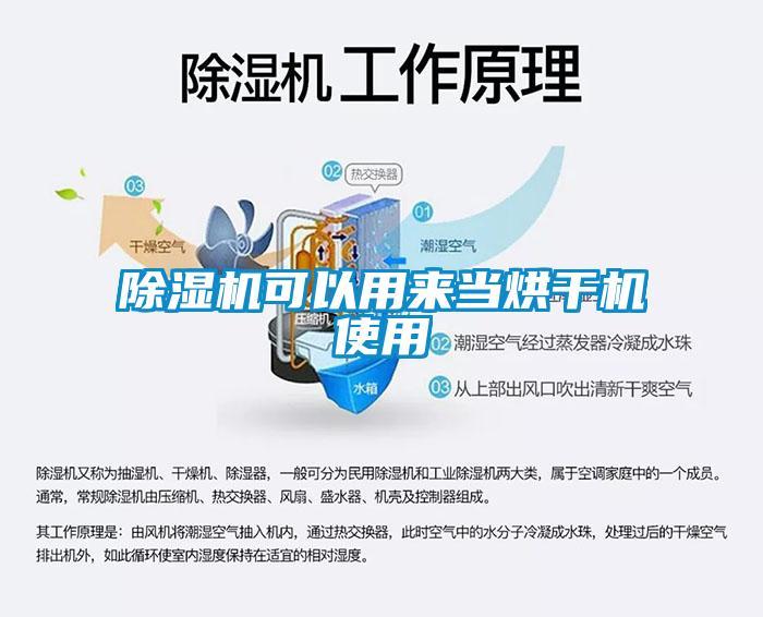 欧美黄色性爱视频网站 除湿机可以用来当烘干机使用