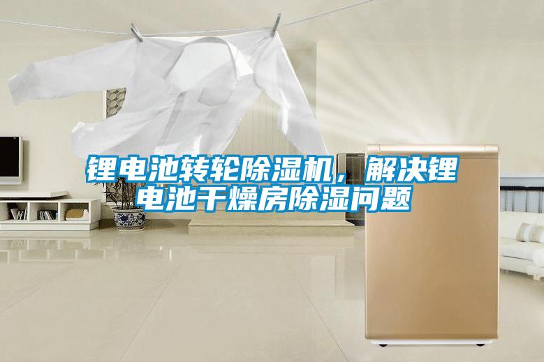 欧美成色手机在线观看 锂电池转轮除湿机，解决锂电池干燥房除湿问题