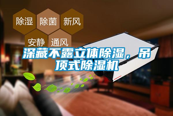 欧美黄色电影在线播放 深藏不露立体除湿，吊顶式除湿机