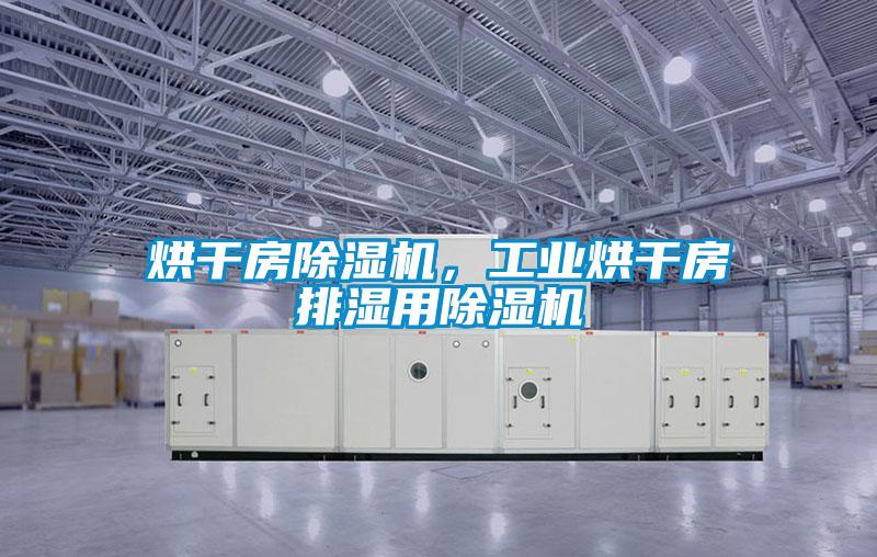 欧美黄色性爱视频网站 烘干房除湿机，工业烘干房排湿用除湿机