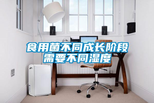欧美成色手机在线观看 食用菌不同成长阶段需要不同湿度