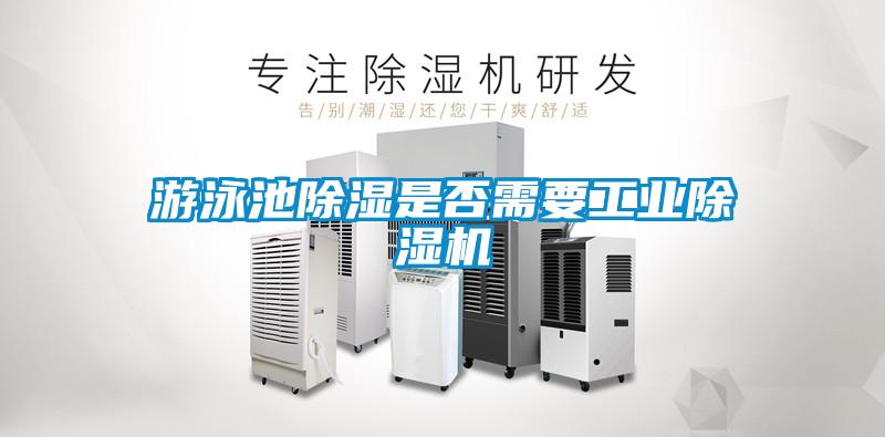 欧美成色手机在线观看 游泳池除湿是否需要工业除湿机