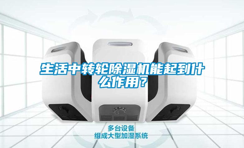 欧美黄色性爱视频网站 生活中转轮除湿机能起到什么作用？