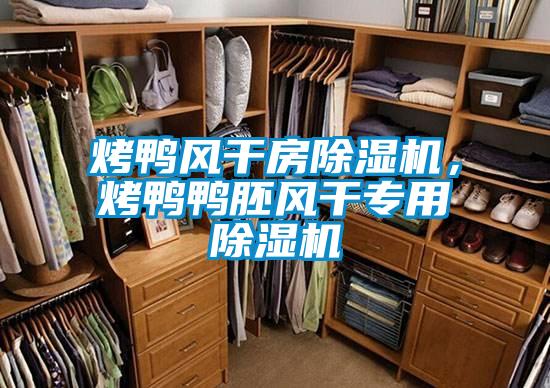 欧美成色手机在线观看 烤鸭风干房除湿机，烤鸭鸭胚风干专用除湿机