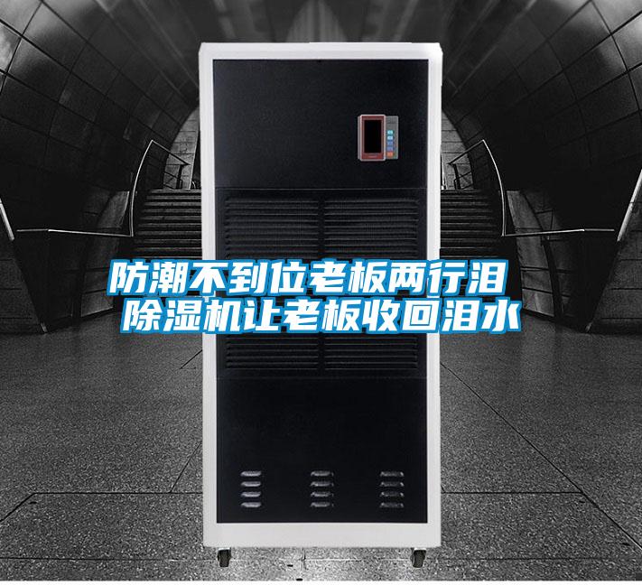 欧美黄色性爱视频网站 防潮不到位老板两行泪 除湿机让老板收回泪水