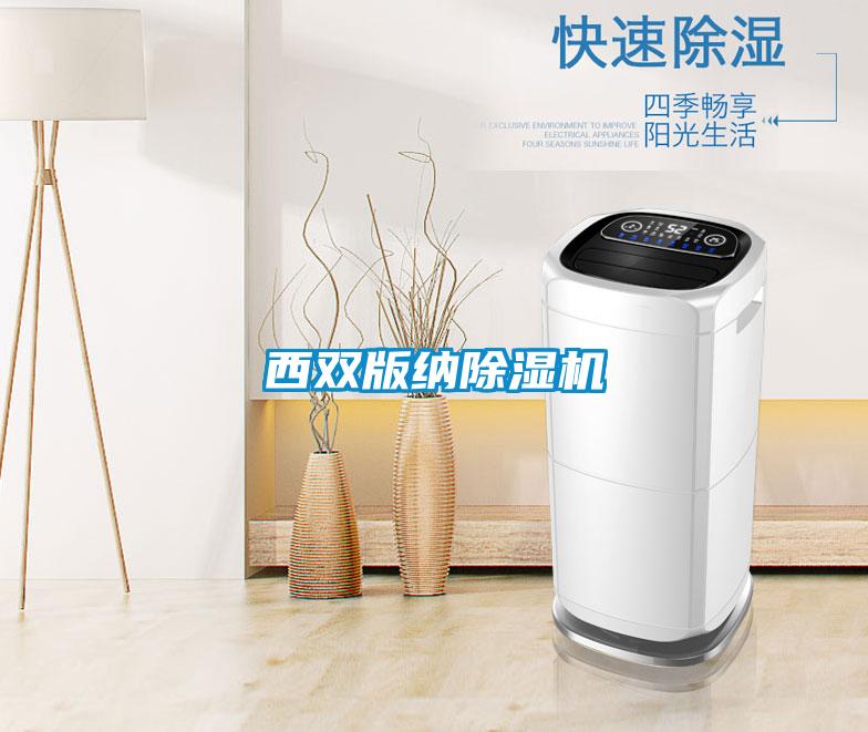 欧美成色手机在线观看 西双版纳除湿机