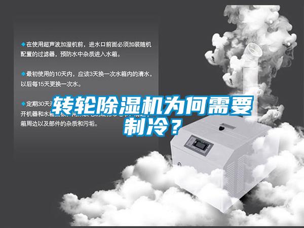 欧美黄色性爱视频网站 转轮除湿机为何需要制冷？