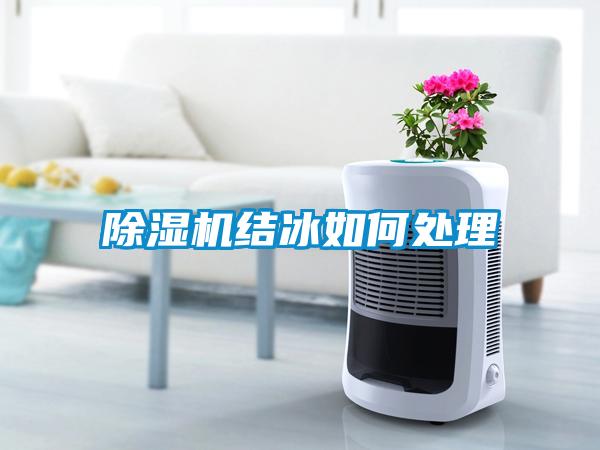 欧美成色手机在线观看 除湿机结冰如何处理