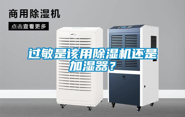 欧美成色手机在线观看 过敏是该用除湿机还是加湿器？