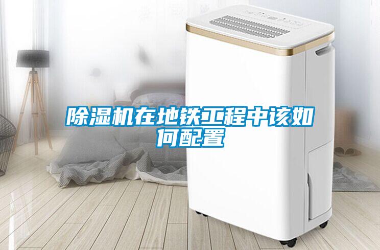 欧美黄色电影在线播放 除湿机在地铁工程中该如何配置