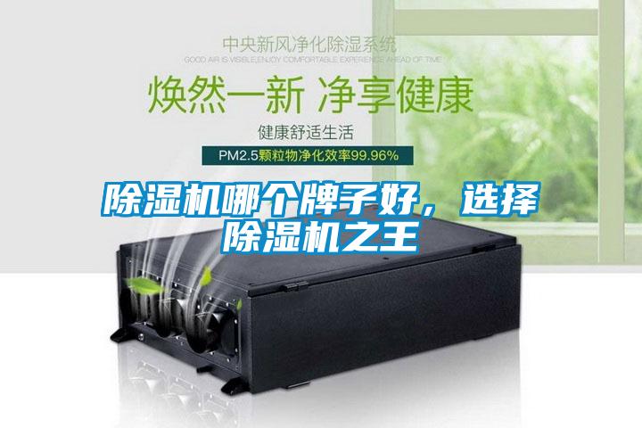 欧美成色手机在线观看 除湿机哪个牌子好，选择除湿机之王