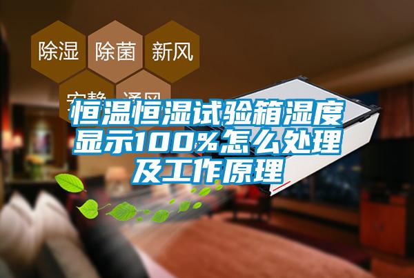 欧美黄色电影在线播放 恒温恒湿试验箱湿度显示100%怎么处理及工作原理