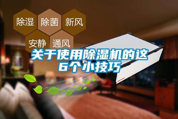 欧美黄色电影在线播放 关于使用除湿机的这6个小技巧