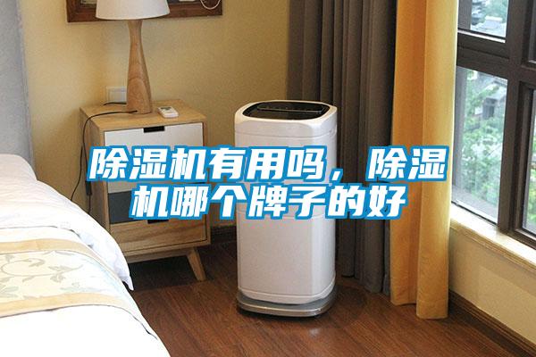 欧美黄色电影在线播放 除湿机有用吗，除湿机哪个牌子的好