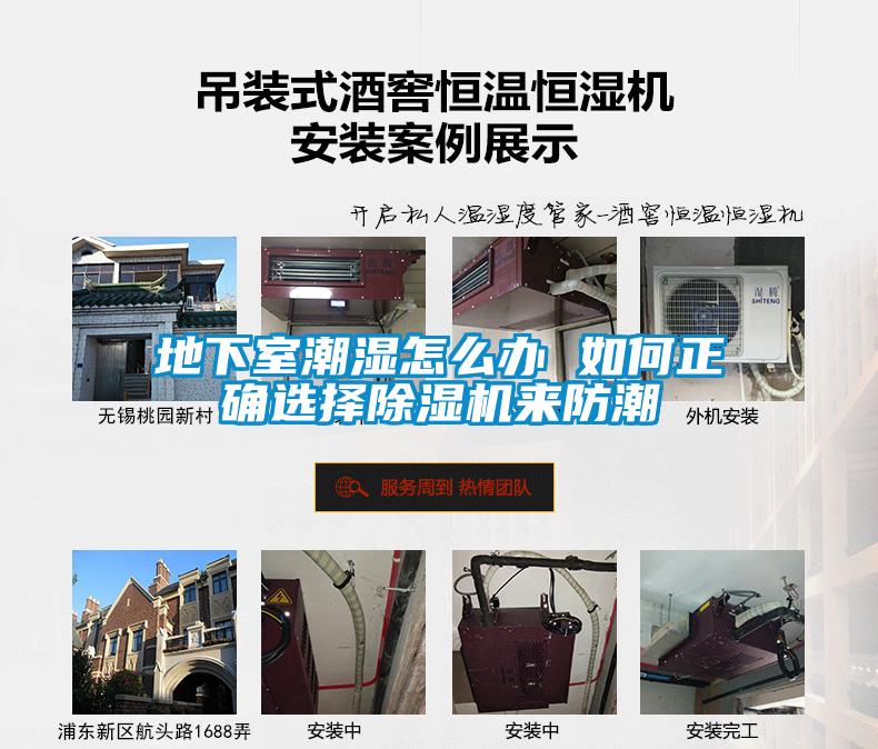 欧美黄色电影在线播放 地下室潮湿怎么办 如何正确选择除湿机来防潮