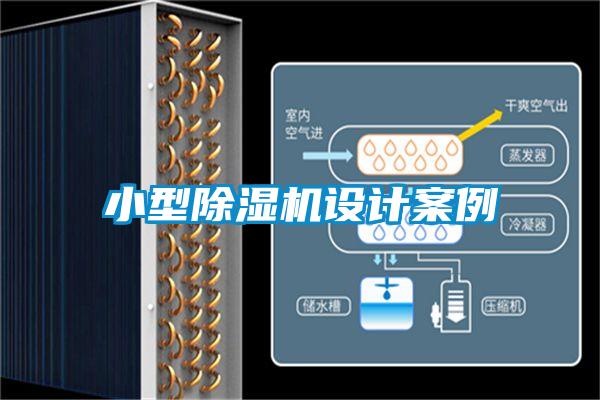 欧美黄色电影在线播放 小型除湿机设计案例