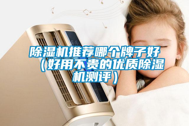 欧美成色手机在线观看 除湿机推荐哪个牌子好（好用不贵的优质除湿机测评）