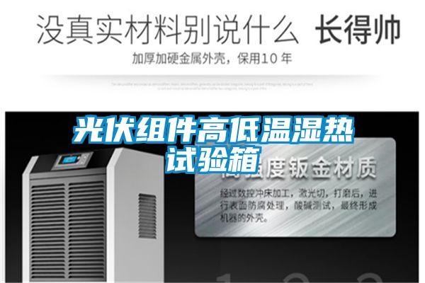 欧美黄色性爱视频网站 光伏组件高低温湿热试验箱