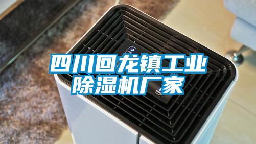 欧美成色手机在线观看 四川回龙镇工业除湿机厂家