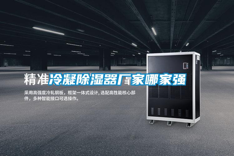 欧美黄色性爱视频网站 冷凝除湿器厂家哪家强