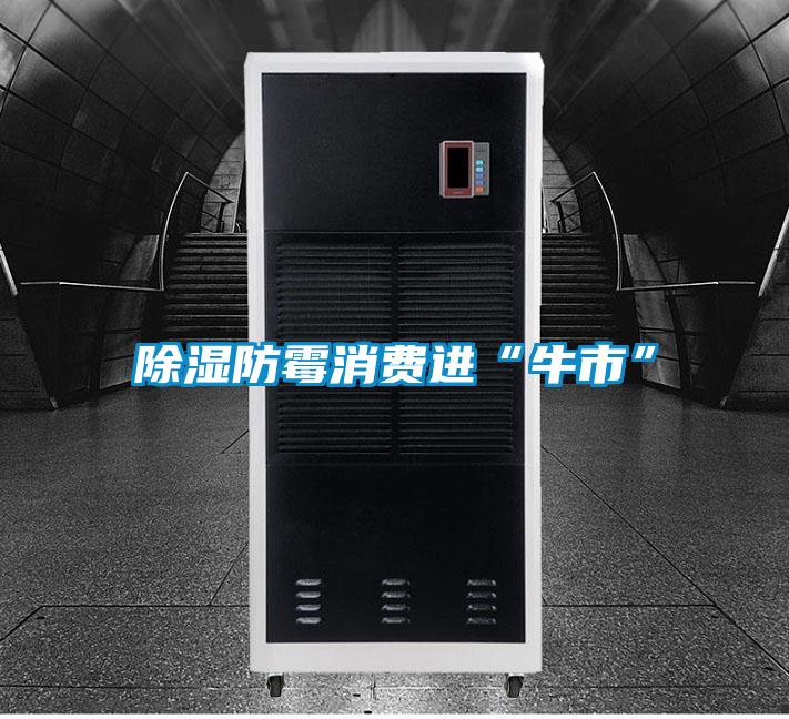 欧美黄色性爱视频网站 除湿防霉消费进“牛市”