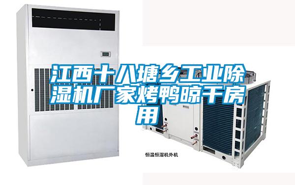 欧美黄色电影在线播放 江西十八塘乡工业除湿机厂家烤鸭晾干房用