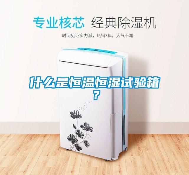 欧美黄色电影在线播放 什么是恒温恒湿试验箱？