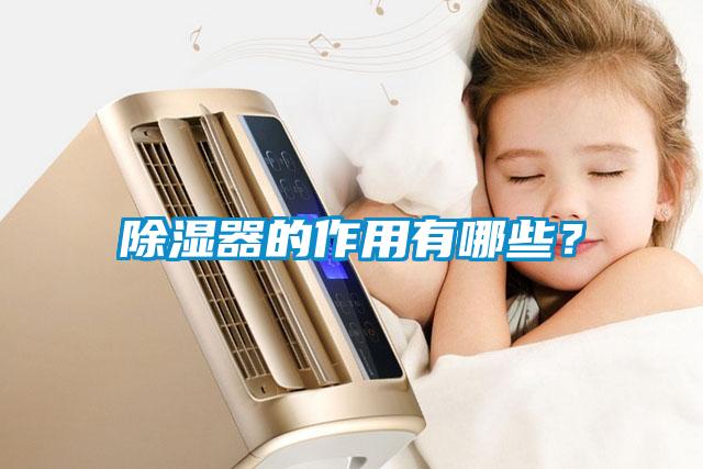 欧美成色手机在线观看 除湿器的作用有哪些？