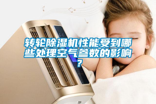欧美黄色电影在线播放 转轮除湿机性能受到哪些处理空气参数的影响？