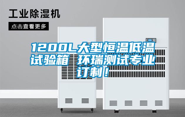 欧美黄色性爱视频网站 1200L大型恒温低温试验箱 环瑞测试专业订制！