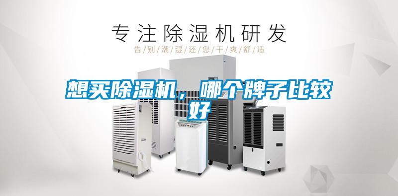 欧美黄色性爱视频网站 想买除湿机，哪个牌子比较好