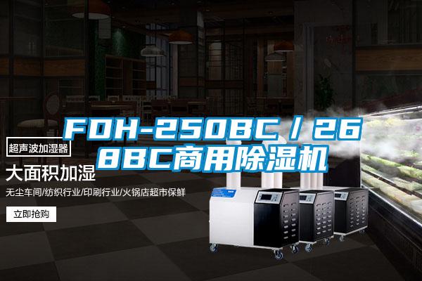 欧美黄色性爱视频网站 FDH-250BC／268BC商用除湿机