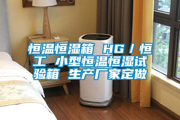 欧美成色手机在线观看 恒温恒湿箱 HG／恒工 小型恒温恒湿试验箱 生产厂家定做