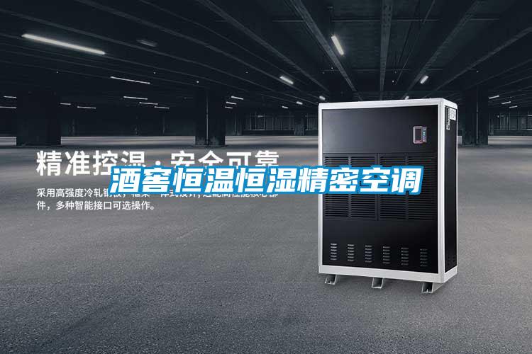 欧美黄色性爱视频网站 酒窖恒温恒湿精密空调