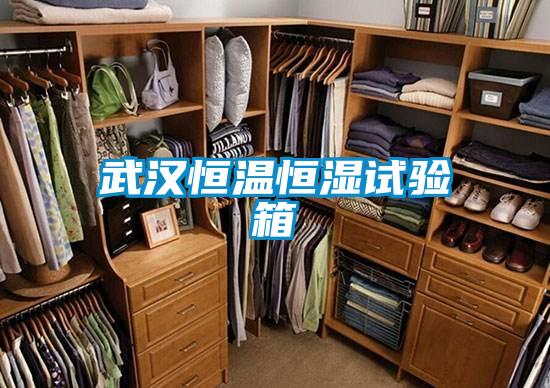 欧美成色手机在线观看 武汉恒温恒湿试验箱