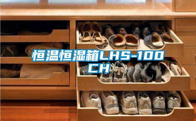 欧美黄色性爱视频网站 恒温恒湿箱LHS-100CH