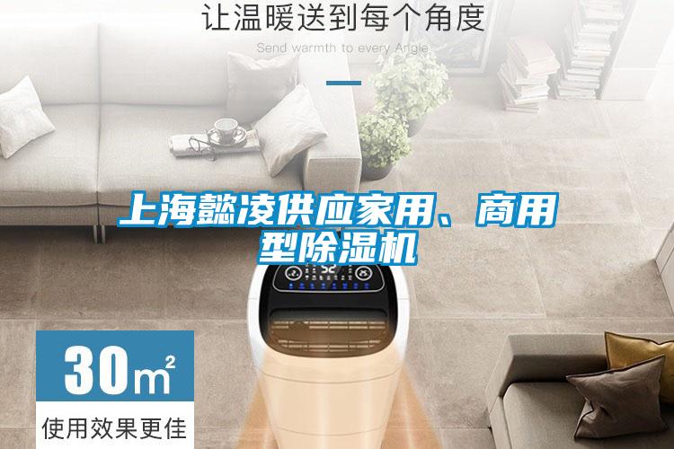 欧美成色手机在线观看 上海懿凌供应家用、商用型除湿机