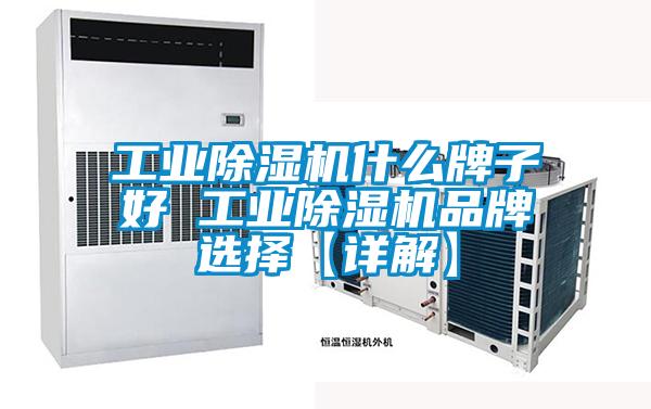 欧美成色手机在线观看 工业除湿机什么牌子好 工业除湿机品牌选择【详解】
