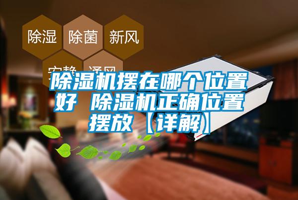 欧美黄色电影在线播放 除湿机摆在哪个位置好 除湿机正确位置摆放【详解】