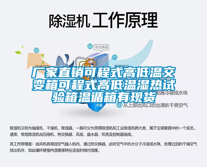欧美黄色性爱视频网站 厂家直销可程式高低温交变箱可程式高低温湿热试验箱温循箱有现货
