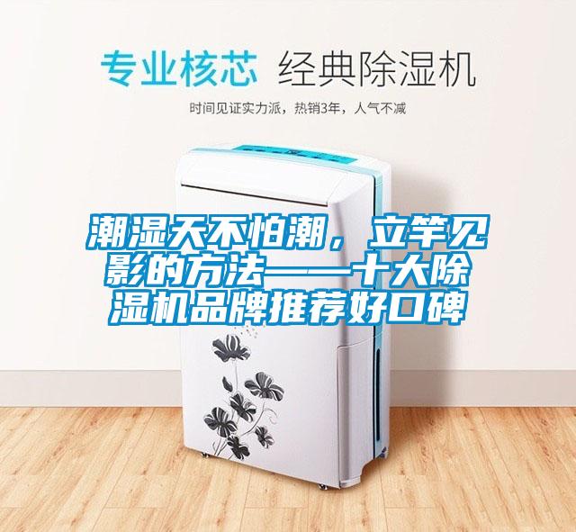欧美黄色性爱视频网站 潮湿天不怕潮，立竿见影的方法——十大除湿机品牌推荐好口碑